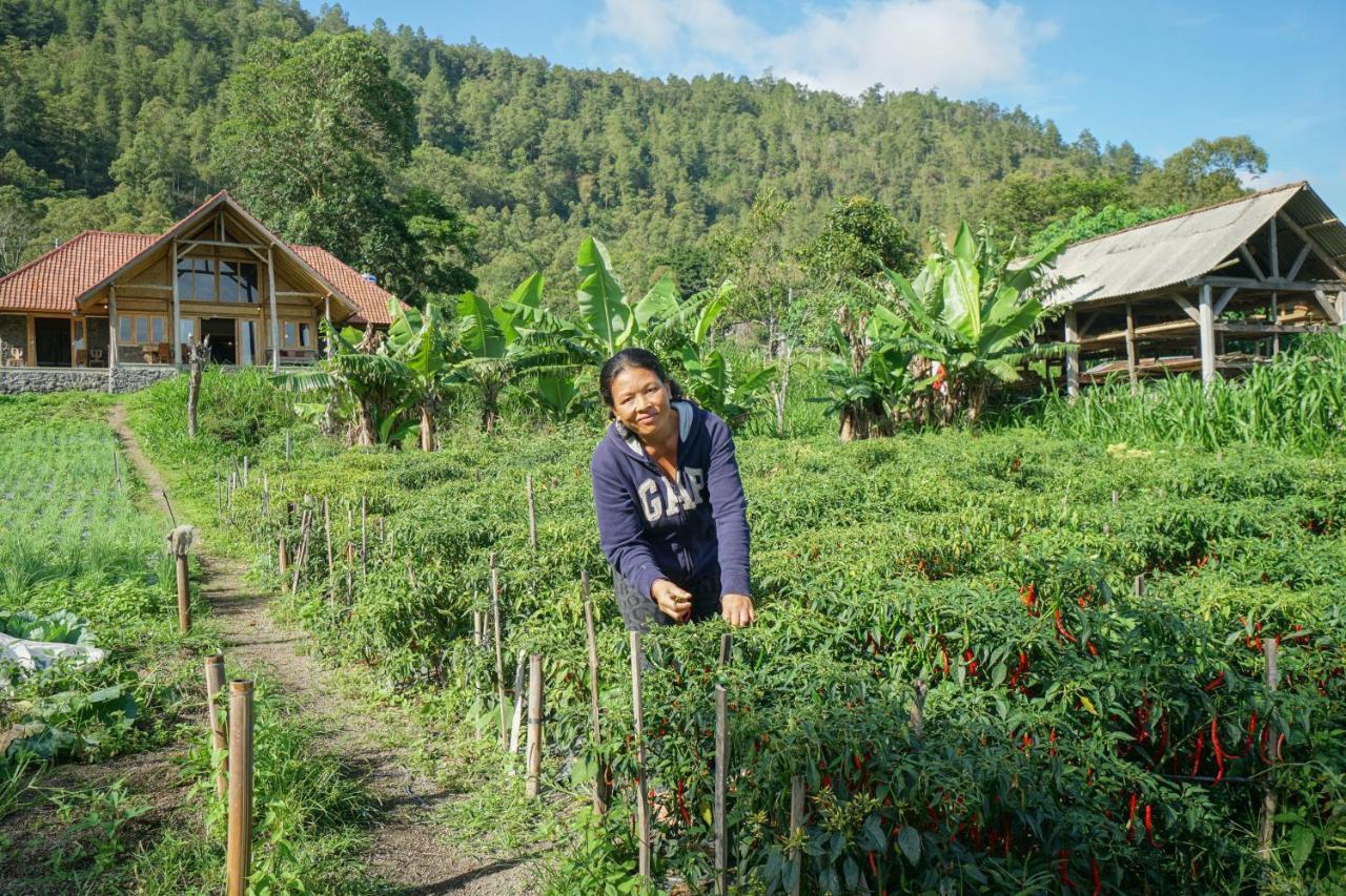 Pondok Manoka Kintamani Exterior foto